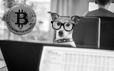 How to Report Bitcoin on Taxes